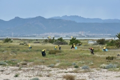 Spiagge pulite Cagliari